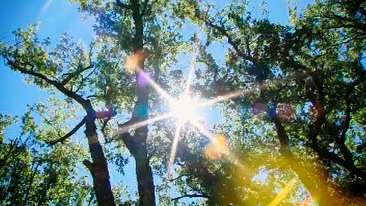 El Hayedo de Montejo, Patrimonio Natural de la Humanidad / Telemadrid