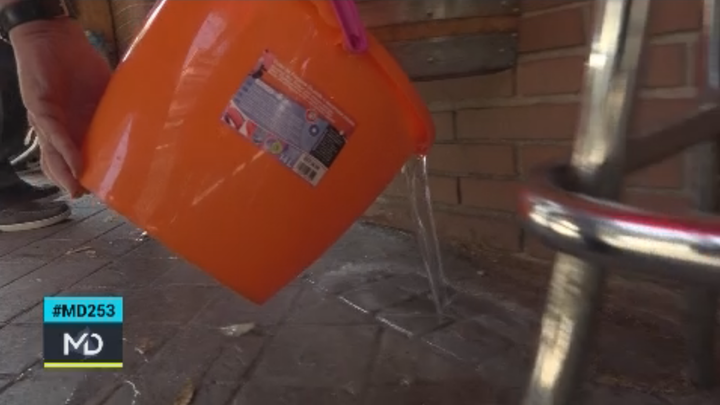 Vecinos del barrio de Bilbao (Ciudad Lineal) intentando lidiar con la plaga de gusanos