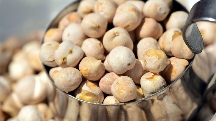 garbanzos