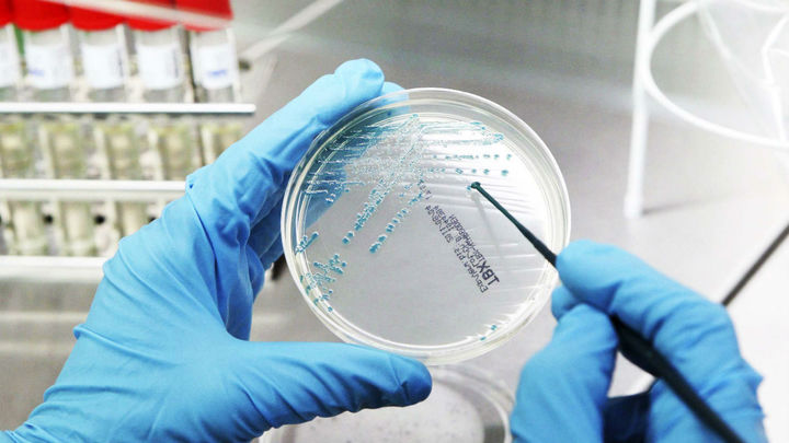 Numerosos actos este lunes con motivo del Día Mundial contra el Cáncer