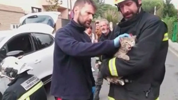 gatito-rescate-bomberos-galapagar