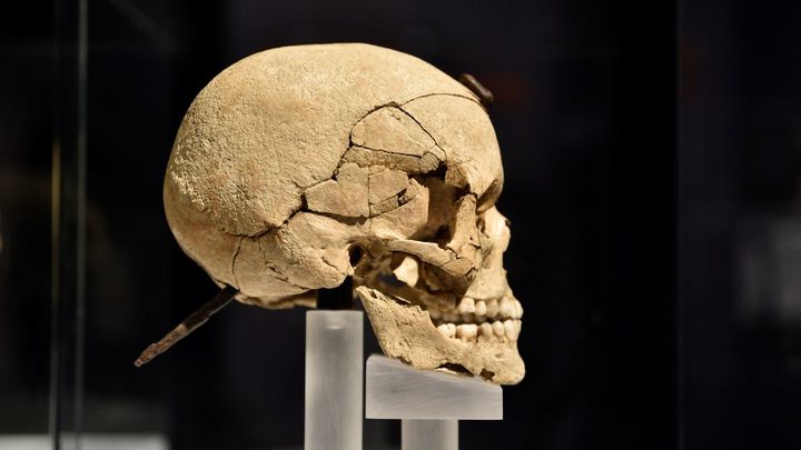 Cráneo en el Museo Arqueológico Nacional EFE/Carlos Pérez