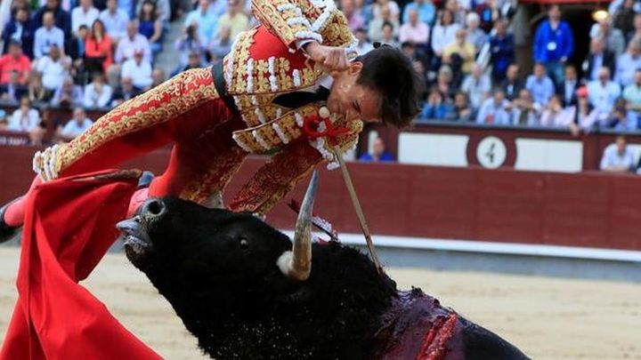 Cogida de Gonzalo Caballero / EFE