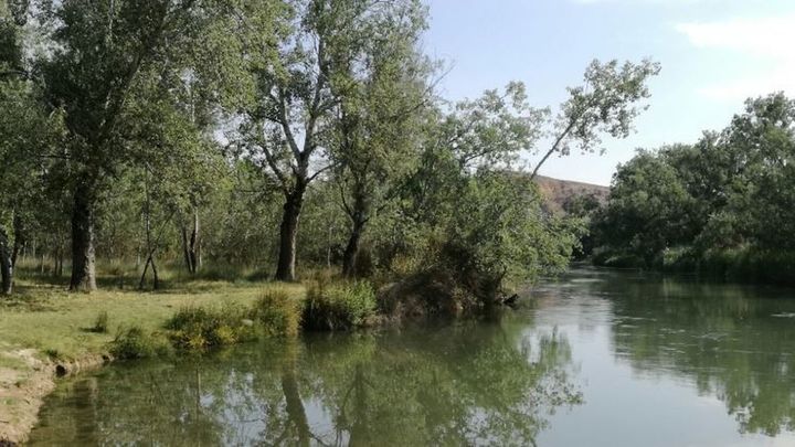 VILLARES DEL RÍO TAJO EN ESTREMERA. DÓNDE:  Desde la A-3 hasta la salida 62 para tomar la M-240 dirección Estremera. Tomar el camino hasta el Área Recreativa de Villares del Tajo. TARIFAS: Gratuita,  Aparcamientos gratuitos sin vigilancia. CARACTERÍSTICAS: Recomendable preguntar por la calidad de las aguas del río Tajo. Cuenta con un restaurante. / Redacción