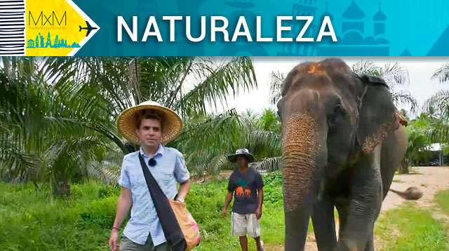 Madrile&ntilde;os por el Mundo - Naturaleza