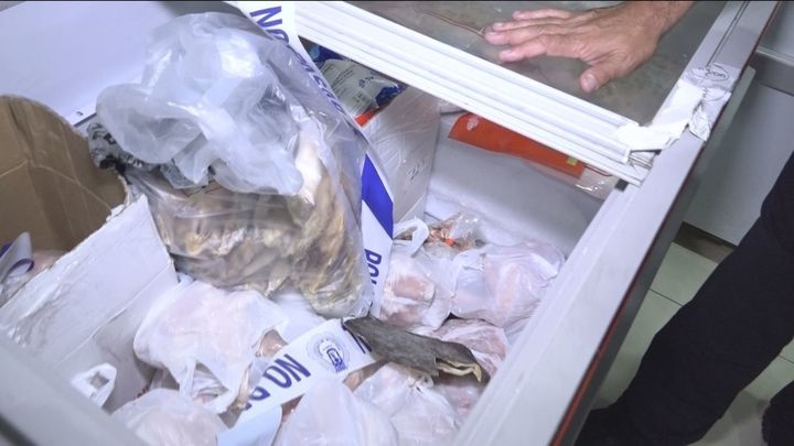 Decomisados 440 kilos de alimentos en mal estado