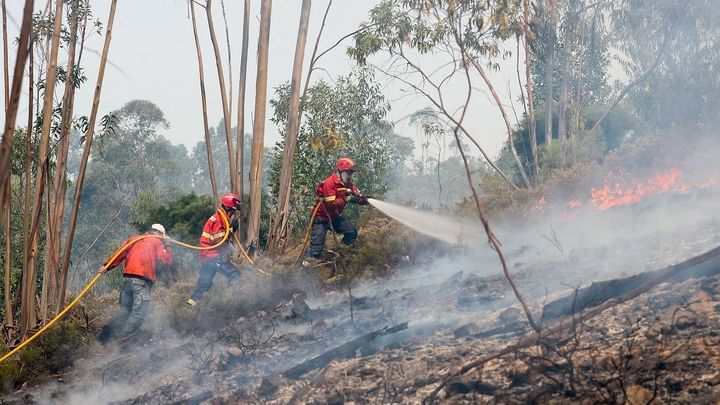 Incendio en Portugal / EFE