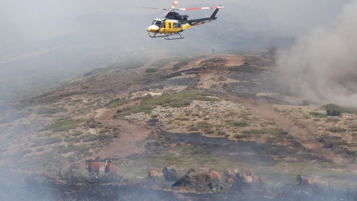 112 Comunidad de Madrid. Pedro González