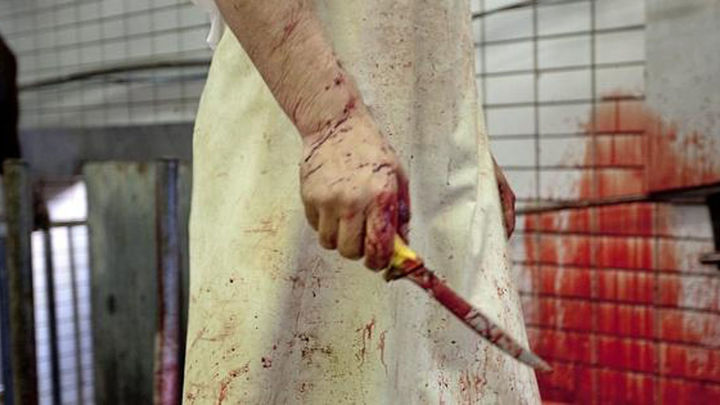 Paranormal Experience, el nuevo escape room de terror de Madrid