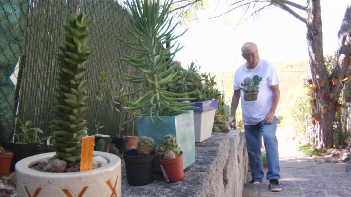 Juan Carlos, vecino de Villa del Prado, mantiene a punto su colección de cactus