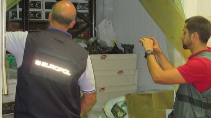 Investigación de los casos de listeriosis