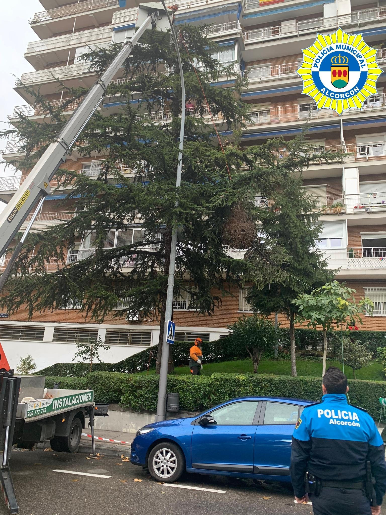 Arrojan pintura a la fachada del Ayuntamiento de Coslada