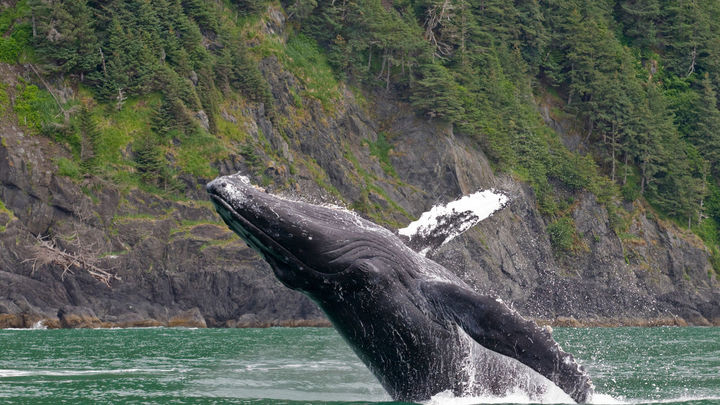 'Con poco, ganamos mucho'