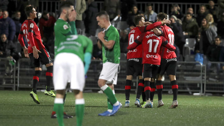 El Álamo - Mallorca / Efe