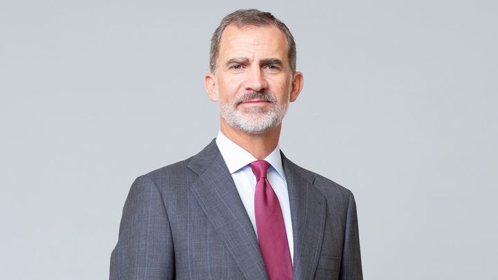 Rey Felipe VI / TELEMADRID