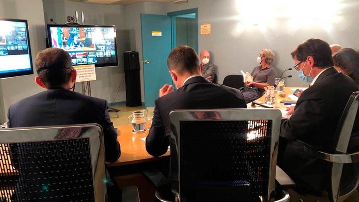 Videoconferencia del Consejo Interterritorial del  sistema Nacional de Salud / Ministerio de Sanidad