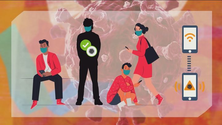 Diagrama Radar Covid / REDACCIÓN