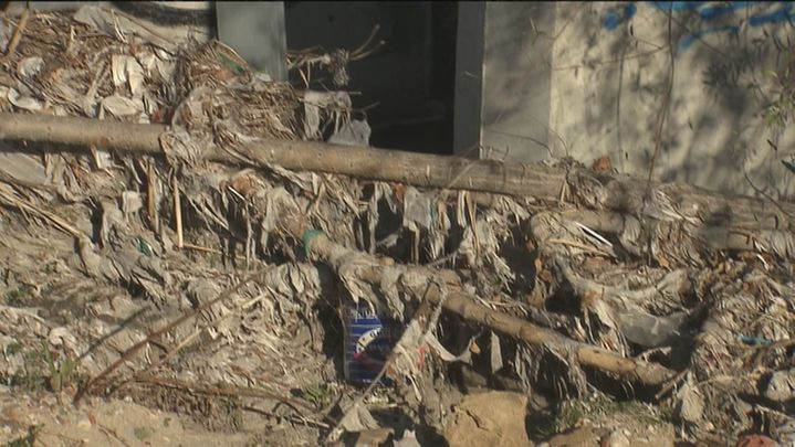 La inmundicia se acumula en el arroyo de Valdebebas / TELEMADRID