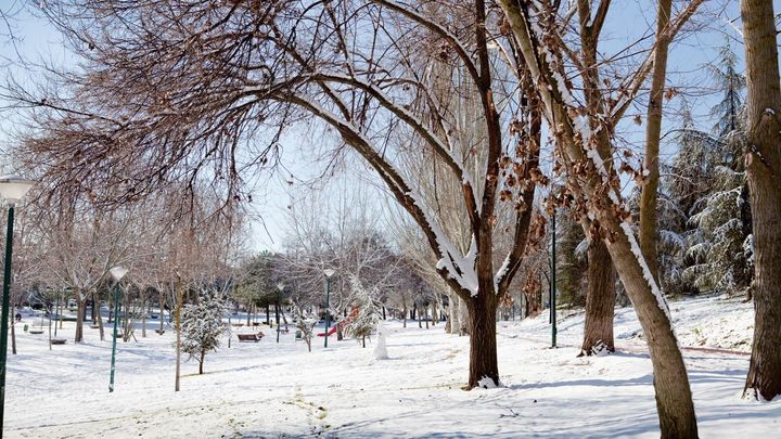 Parque de Pozuelo / Ayuntamiento de Pozuelo de Alarcón