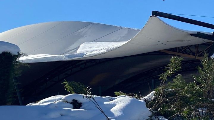 Club de Campo / @ccvmoficial