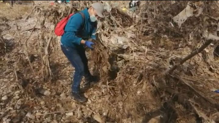 La cantidad de basura en el río Jarama es tal que los voluntarios aseguran que no dan abasto / TELEMADRID