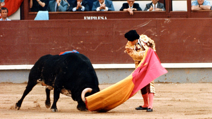 José Miguel Arroyo 'Joselito'. / Comunicación Telemadrid