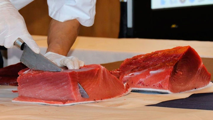 Ronqueo del atún / EUROPA PRESS