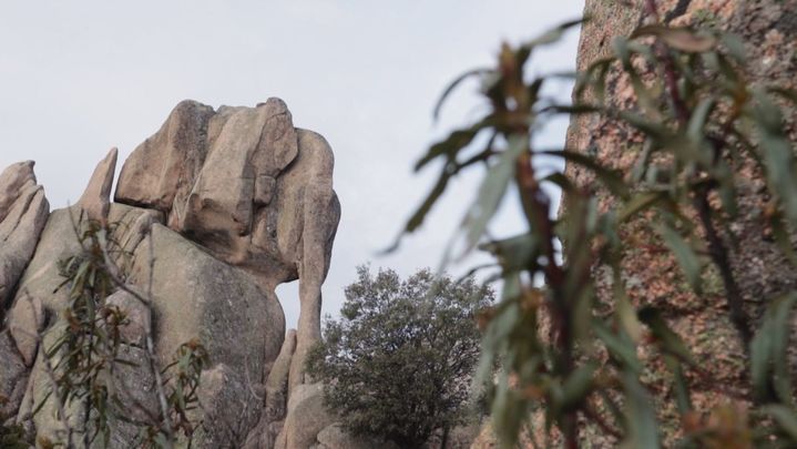 El Elefantito de La Pedriza / Redacción