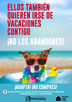 Campaña de Móstoles contra el abandono de mascotas en época estival / AYTO MÓSTOLES