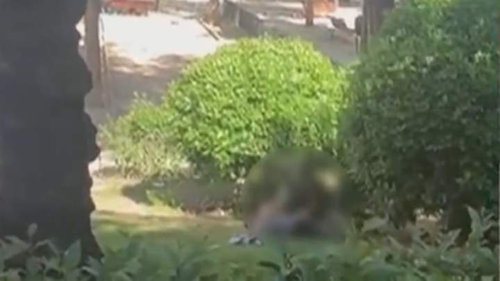 Practican sexo de día en el parque de Conde Duque / TELEMADRID