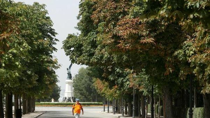 que-parques-cierra-madrid-ante-la-ola-de-calor-el-retiro-y-otras-ocho-zonas-verdes / EFE