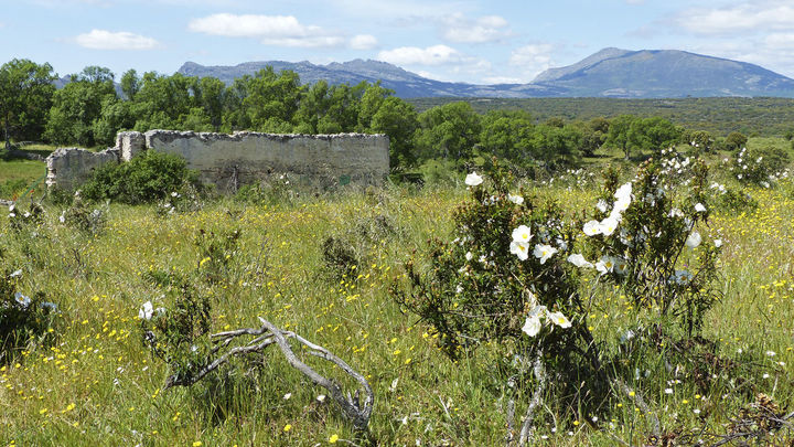 El Villar / DE BENJAMINMM