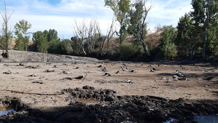 Estado actual de la Laguna de Valchico, tras secarse y retirar buena parte de la planta invasora / P.O.
