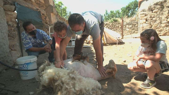 Lolo, el genial y querido profesor de Cabanillas de la Sierra / Redacción