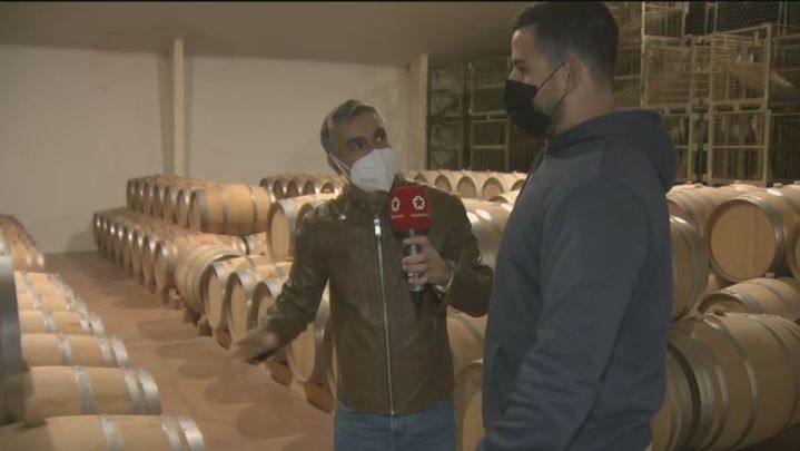 Bodegas Licinia / TELEMADRID
