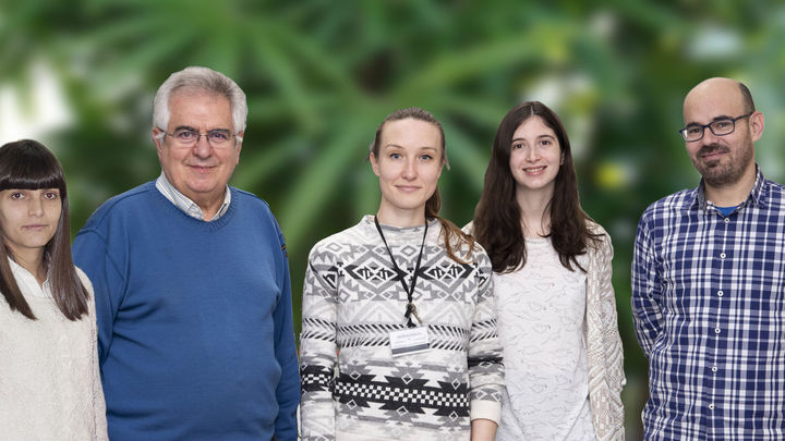 Francisco Javier Medina y su equipo de investigación / CIB