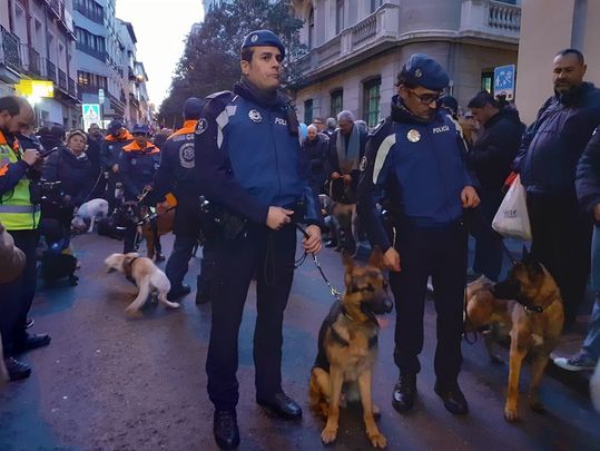 Unidad Canina de Policía Municipal de Madrid / @MADRID