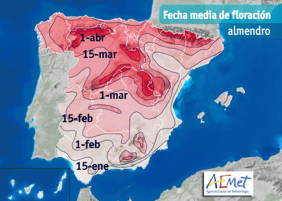 Cuándo florecen los almendros en España / AEMET