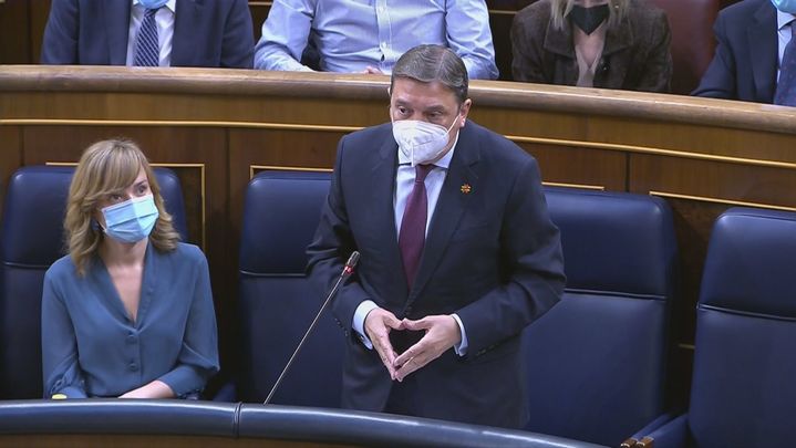 El ministro de Agricultura, Luis Planas / TELEMADRID