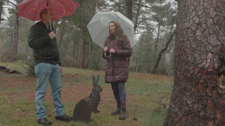Nos vamos a San Lorenzo de El Escorial de cacería... ¡Fotográfica!