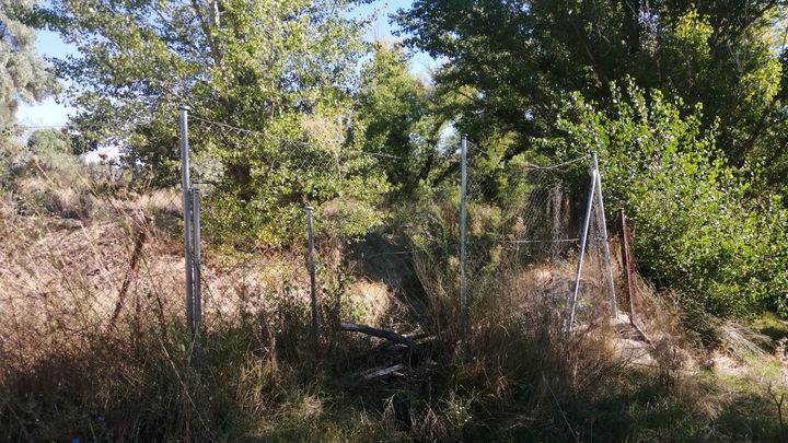 Descansadero de Brunete, apropiado y vallado por un particular / ECOLOGISTAS