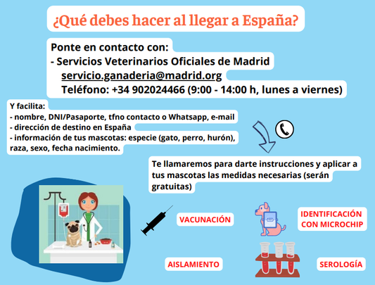 Información sobre el procedimiento en español / MAPA