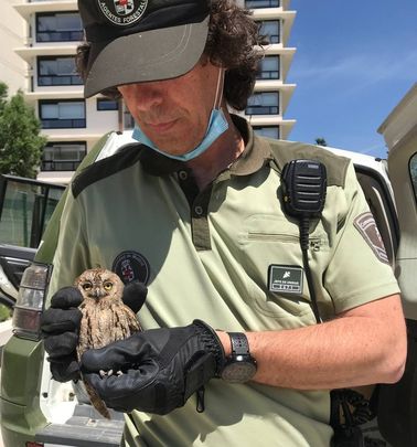 Un agente con la rapaz en sus manos / EMERGENCIAS MADRID 112