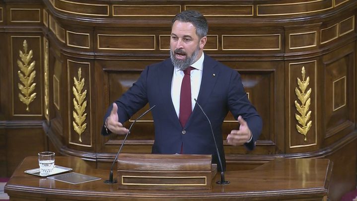 Santiago Abascal / TELEMADRID