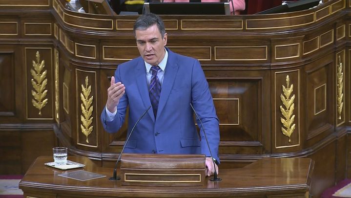 Pedro Sánchez / TELEMADRID