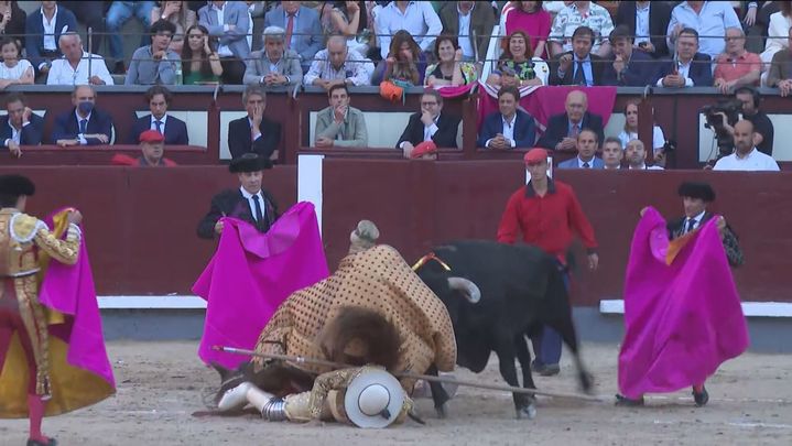 El picador Manolo Sayago bajo la montura / REDACCIÓN
