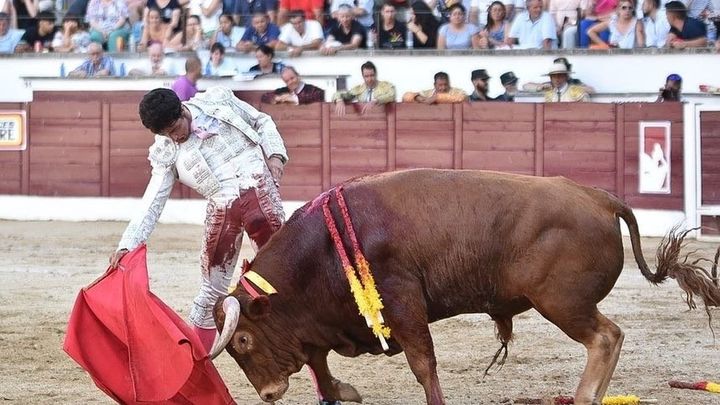 García Pulido, novillero / Sixto Naranjo