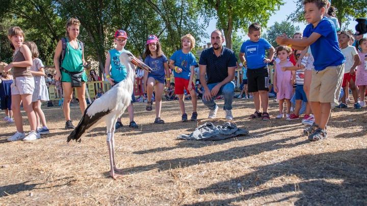 Niños y niñas participantes en la suelta de aves, en Alcalá / AYTO ALCALÁ DE HENARES
