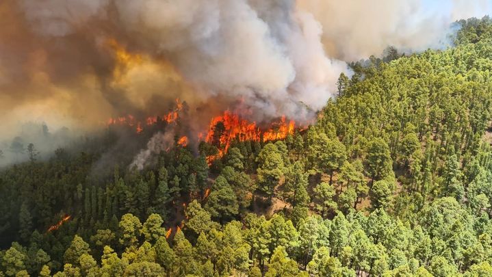 Incendio de Los Campeches, en Los Realejos (Tenerife) / EUROPA PRESS