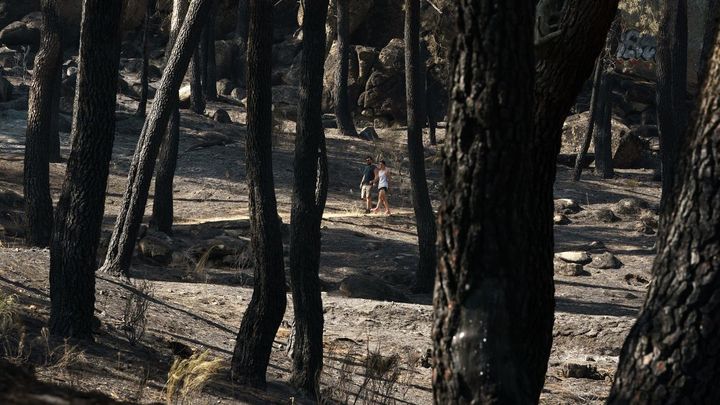 Dos personas pasan por el área recreativa de 'El Batán' en El Hoyo de Pinares / EFE